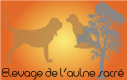 Découvrez l‘élevage de l‘aune sacré