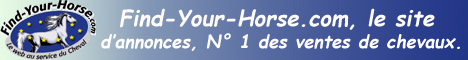 http://www.Find-Your-Horse.com, annonces de vente et achat de chevaux, camions, vans, ...